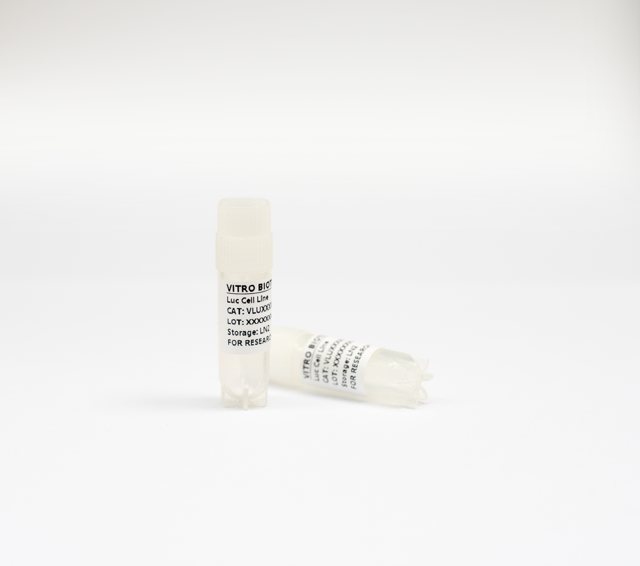 PaTu 8988t-Luc Cell line